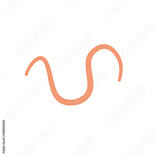 Ascaris parasitic worm vector