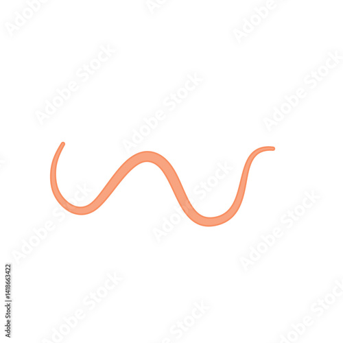 Ascaris parasitic worm vector