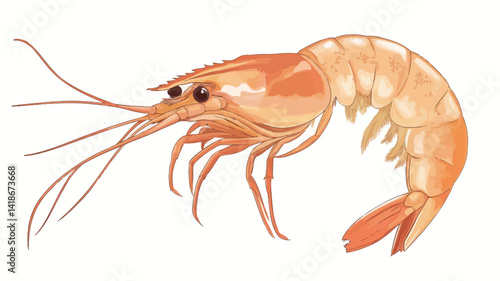 This image presents a detailed illustration of a shrimp, rendered with meticulous attention to detail. The shrimp is depicted in a dynamic pose, showcasing its segmented body