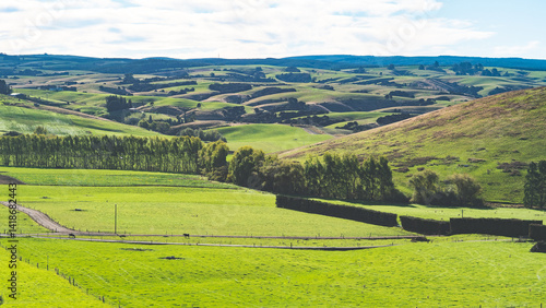 Φωτογραφία Beautiful sunny rural new zealand rolling hills green grass south island