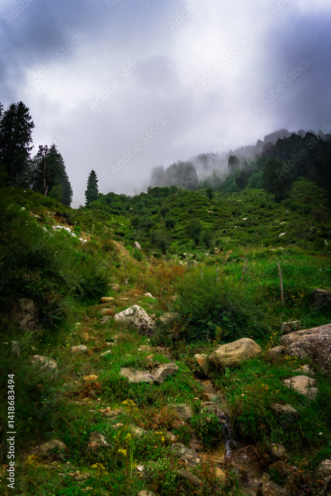 Obraz premium Beautiful mountain landscape of Thamsar pass trek in Rajgundha village in Barot valley. It is situated in valley formed by the Uhl River, part of the Dhauladhar range of the Himalayas.