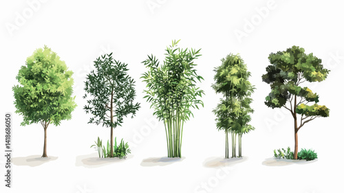 Digital illustration showcasing five distinct tree types against a pure white backdrop.  Each tree is rendered with a vibrant, painterly style exhibiting variations in foliage density