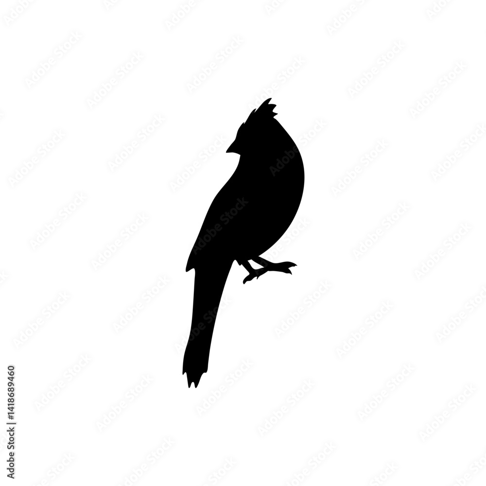 Obraz premium Cardinal bird silhouette 