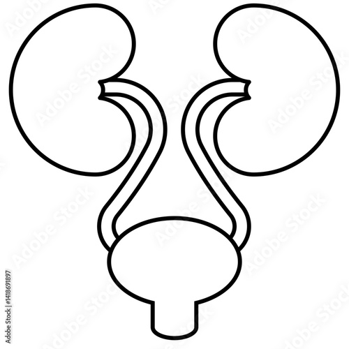 Kidneys icon	
