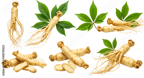 Fresh ginseng roots and leaves arranged artistically, showcasing their natural beauty for herbal medicine and wellness use