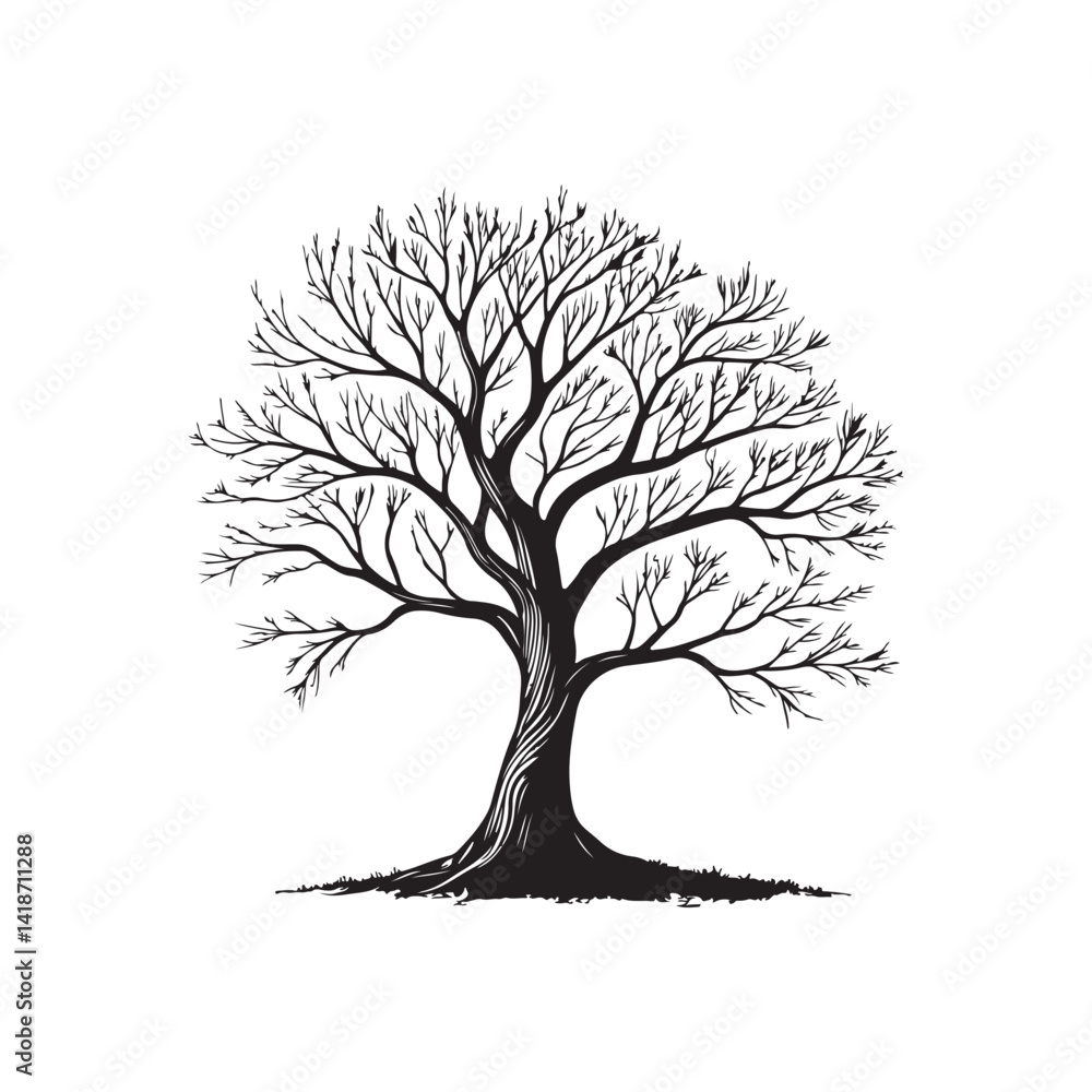 Obraz premium Silhouette tree without leaves