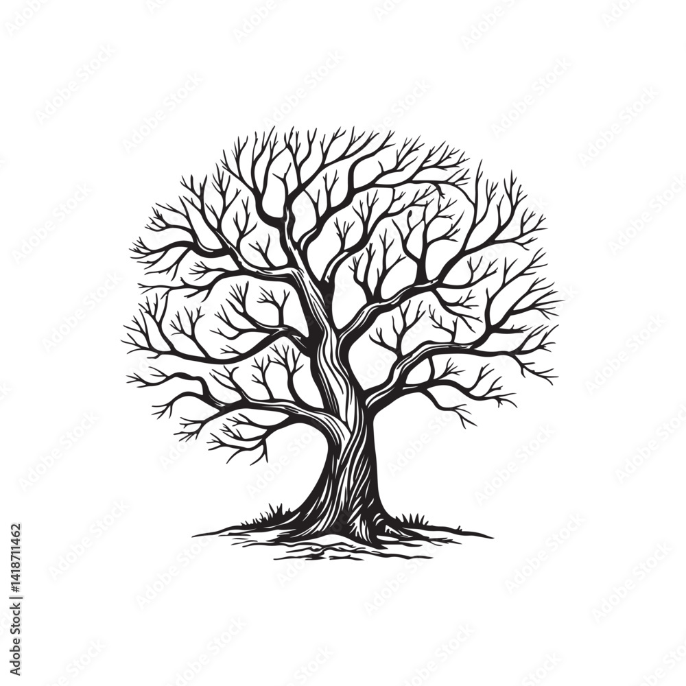 Obraz premium Silhouette tree without leaves