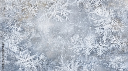 Winter Frost Patterns: A Frozen Wonderland