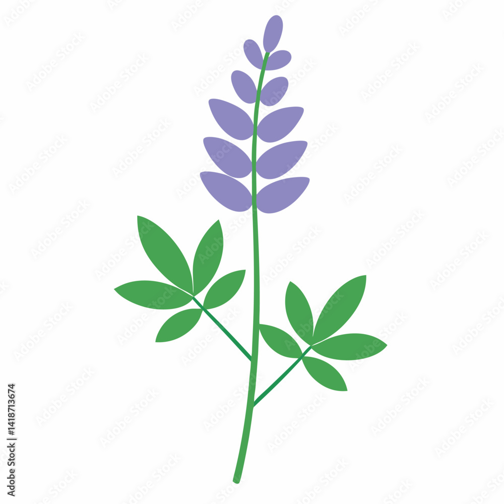 Obraz premium green plant isolated on white