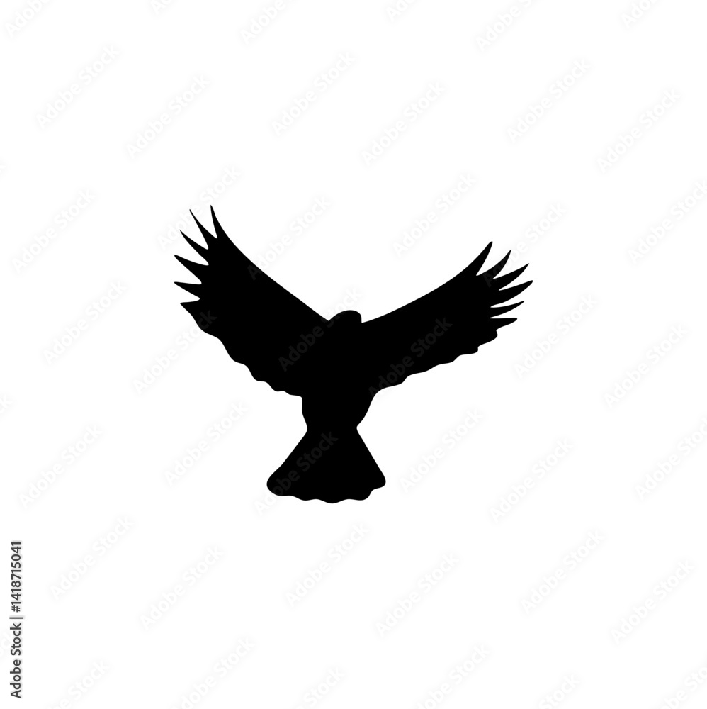 Fototapeta premium Flying bird silhouettes