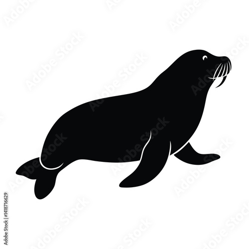 sea lion vector illustration