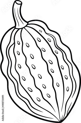 bitter gourd outline on white background