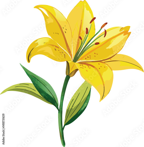 Hand-drawing Watercolor Painting of a Single Yellow Lily Blossom with Detailed Petals 