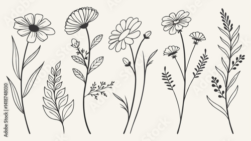 Wildflower Line Art Illustration Pack. Minimal Wildflower Clipart for Designers. Elegant Wildflower Line Drawing Bundle. Botanical Wildflower Line Art Collection.