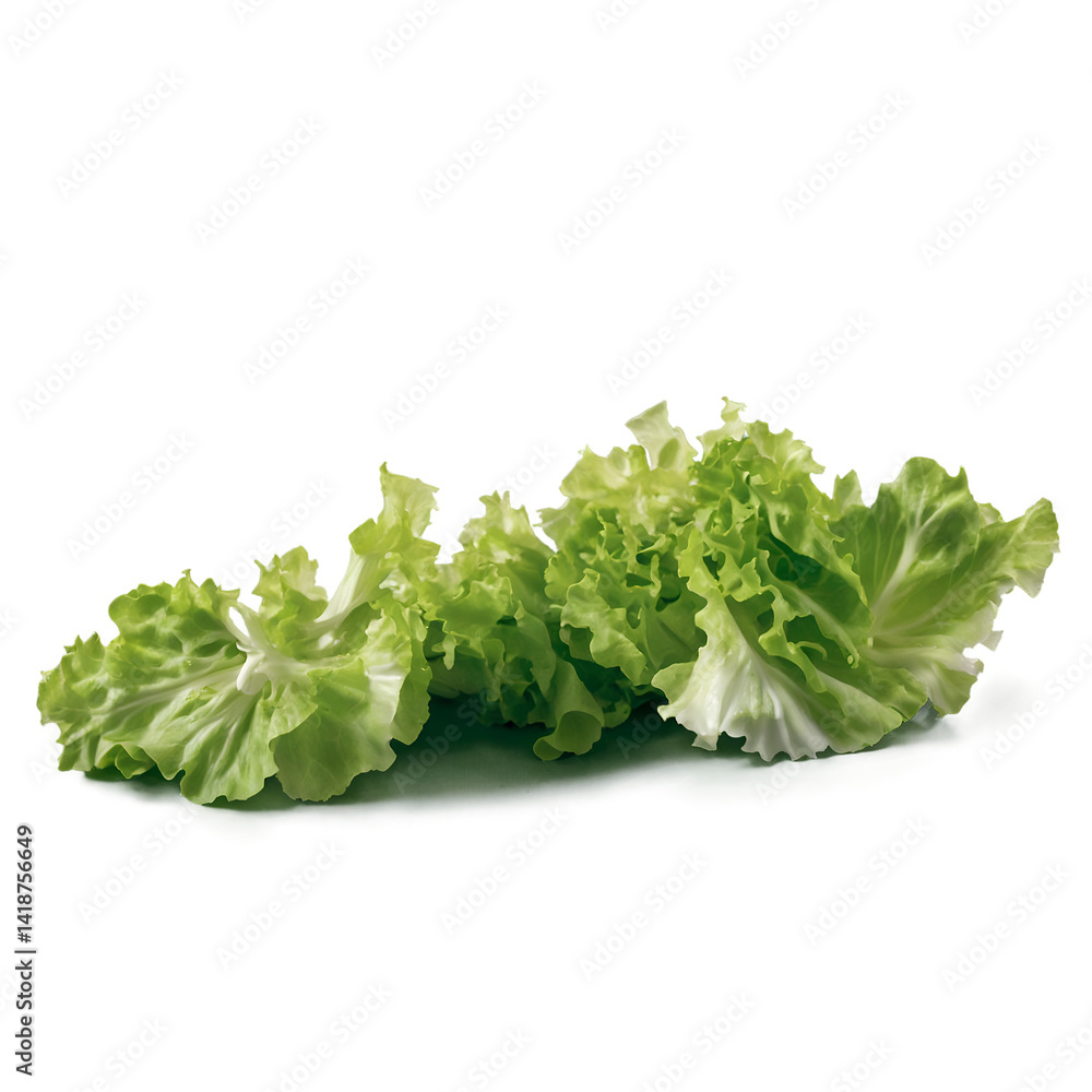 Crisp and Fresh, Close-Up of Sliced Lettuce Leaves on Isolated Background Showcasing Vibrant Green Texture and Natural Appeal for Healthy Eating Concepts Crisp and Fresh, Close-Up of Sliced Lettuce Leaves on Isolated Background Showcasing Vibrant Green Texture and Natural Appeal for Healthy Eating Concepts