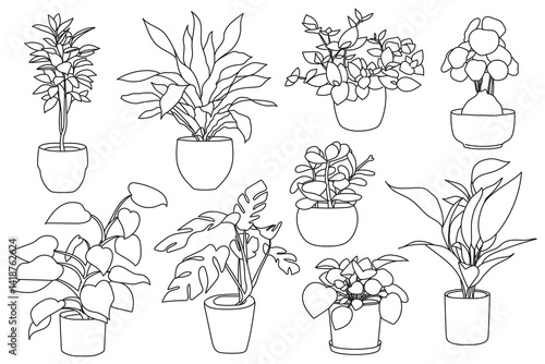 Set of plant in pot hand drawn vector illustrations house plant, home decoration