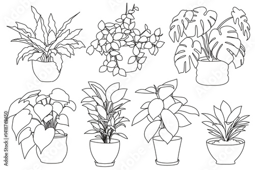Set of plant in pot hand drawn vector illustrations house plant, home decoration