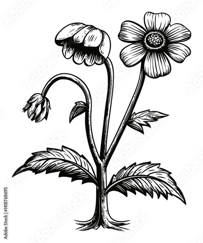 Detailed Black and White Engraving of Flowers with Leaves