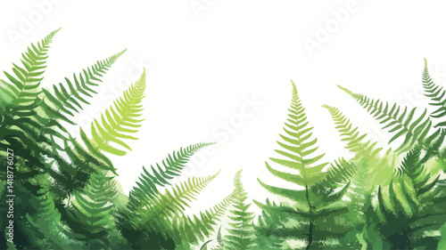 high angle close-up of a bright green fern against a pure white background, this image shows the fern's leaves in varying shades of green.