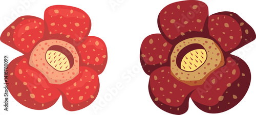 Vector Illustration of Rafflesia Arnoldii Flowers – World’s Largest Bloom