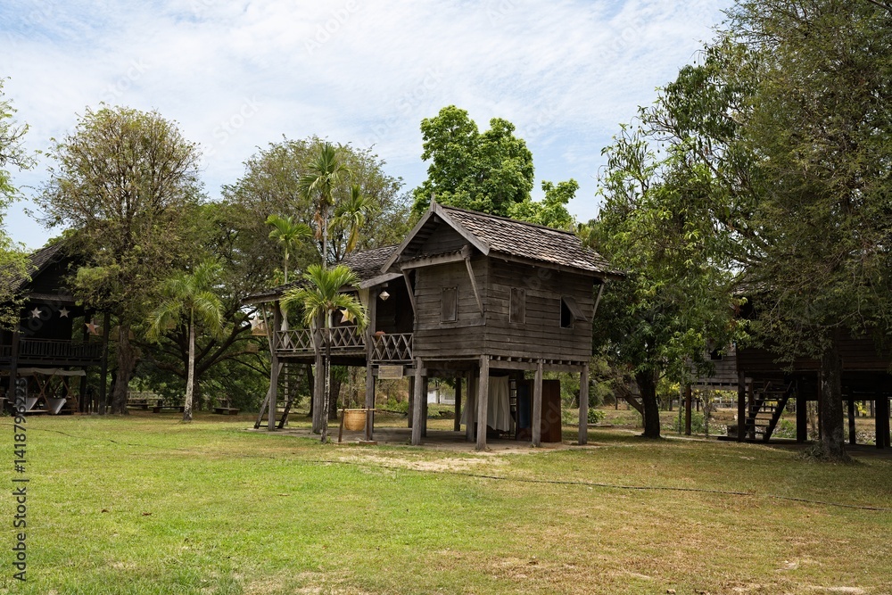 Laotian rural houses between shadow and light
