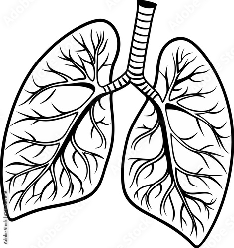 Human lungs vector icon.