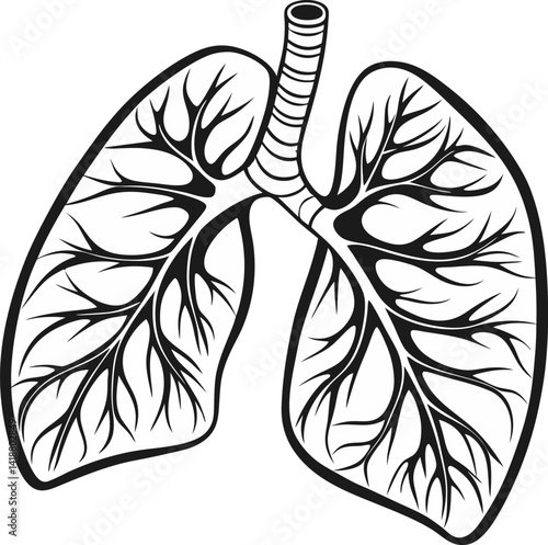 Human lungs vector icon.