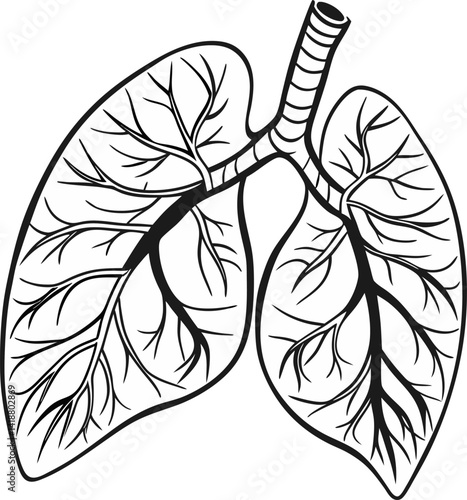 Human lungs vector icon.