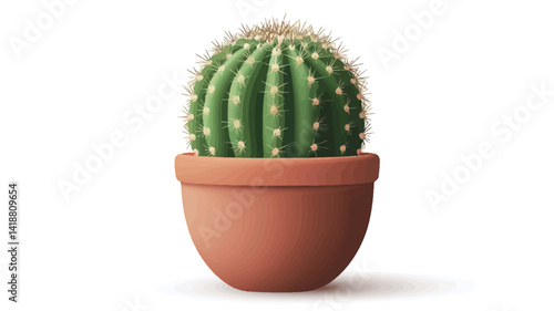 Studio close-up of a small spherical green cactus plant in a clay pot against a pure white background.