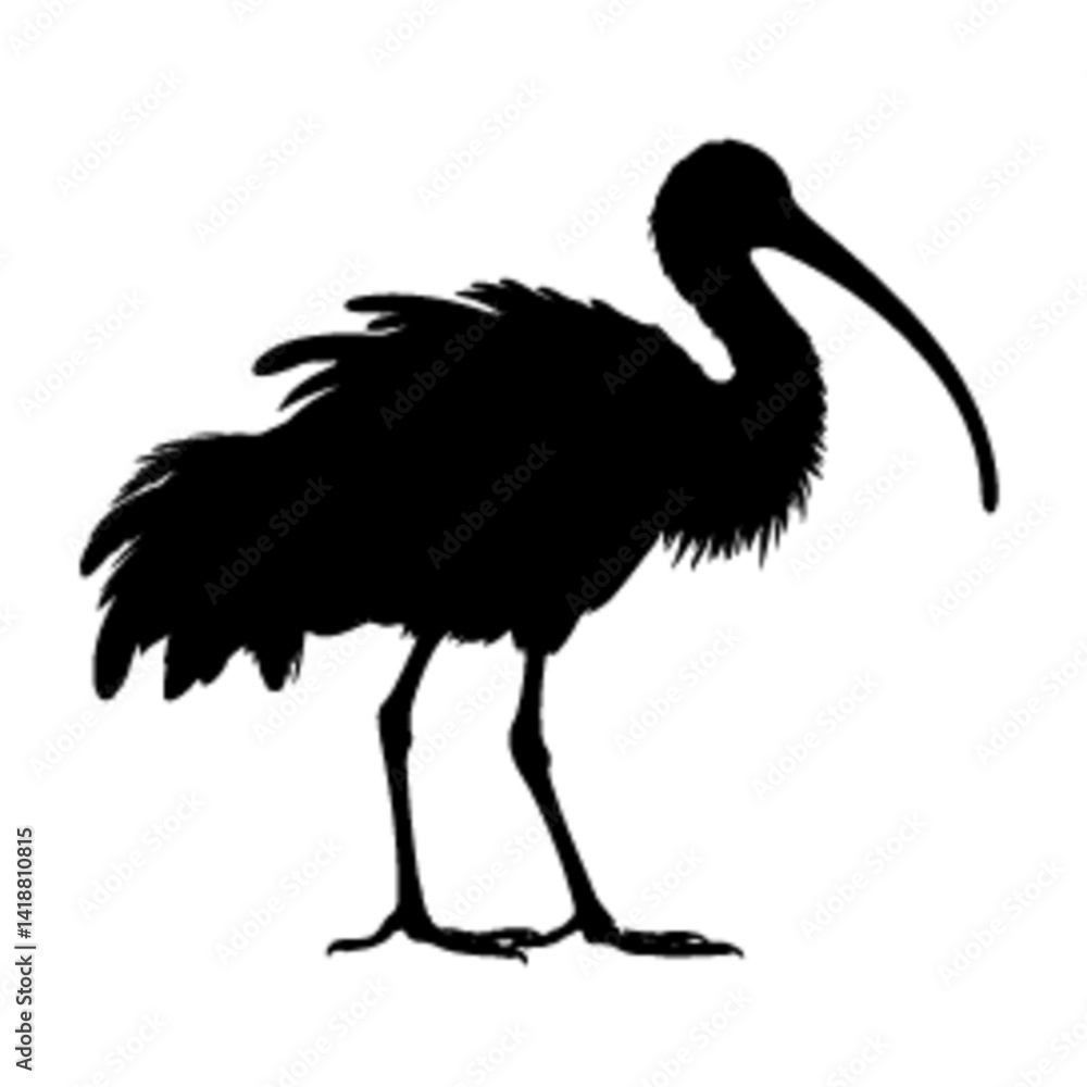 Fototapeta premium ibis silhouette