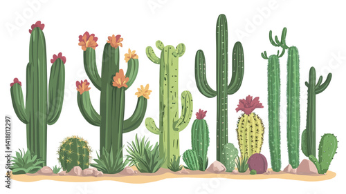 A digitally rendered illustration shows an assortment of cacti and succulents against a clean white background.