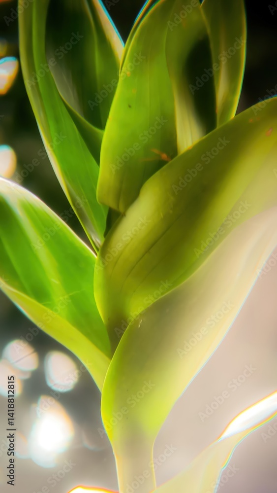 Obraz premium Close-up of Fresh Green Leaves with Soft Lighting and Dreamy Effects