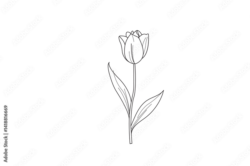 Elegant minimalist tulip modern flower   line art on white background