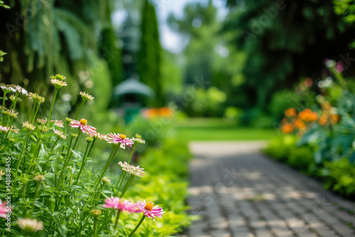 Obraz na płótnie Pink and white coneflowers in the foreground with a blurred garden path and greenery in the background. With copy space. w salonie