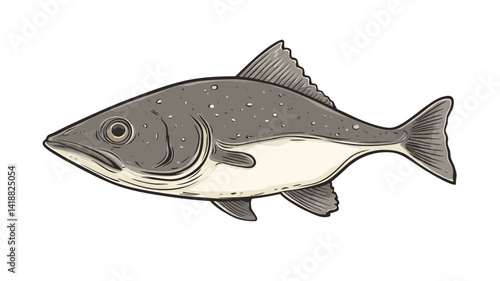 A detailed digital illustration of a grey fish is presented against a plain white background. The illustration shows the fish in profile, highlighting its grey body.