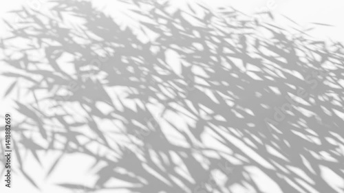 木々の葉の間から差す光と影 木漏れ日 穏やかに吹く風