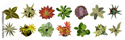 Set of different house plants top view. Potted flowers colorful icons for landscape, architectural, interior design. Hand drawn Vector flat illustrations isolated on transparent background.