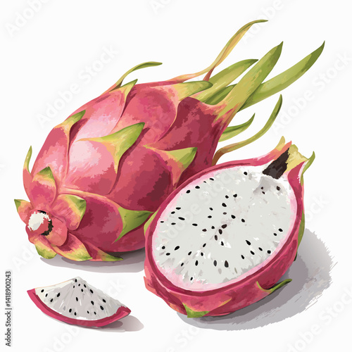 Realistic illustration of whole dragon fruit and half-cut pitaya showing white flesh and seeds, isolated on transparent background