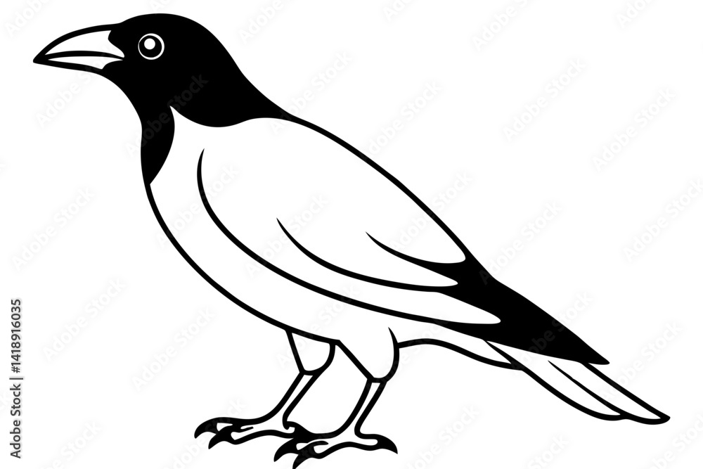 Obraz premium crow on a white background