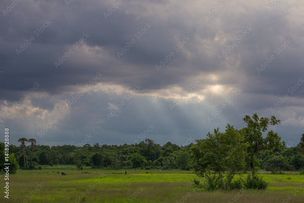 Dramatic sunlight breaking through clouds over lush green landscape nature photography outdoor scene tranquil atmosphere Dramatic sunlight breaking through clouds over lush green landscape nature photography outdoor scene tranquil atmosphere