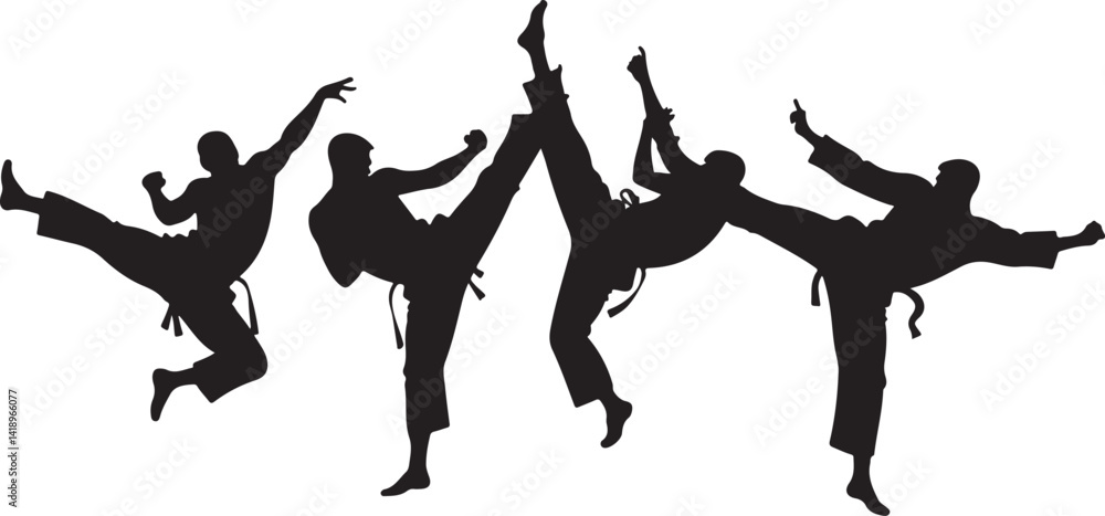 Obraz premium Flying Kick silhouette