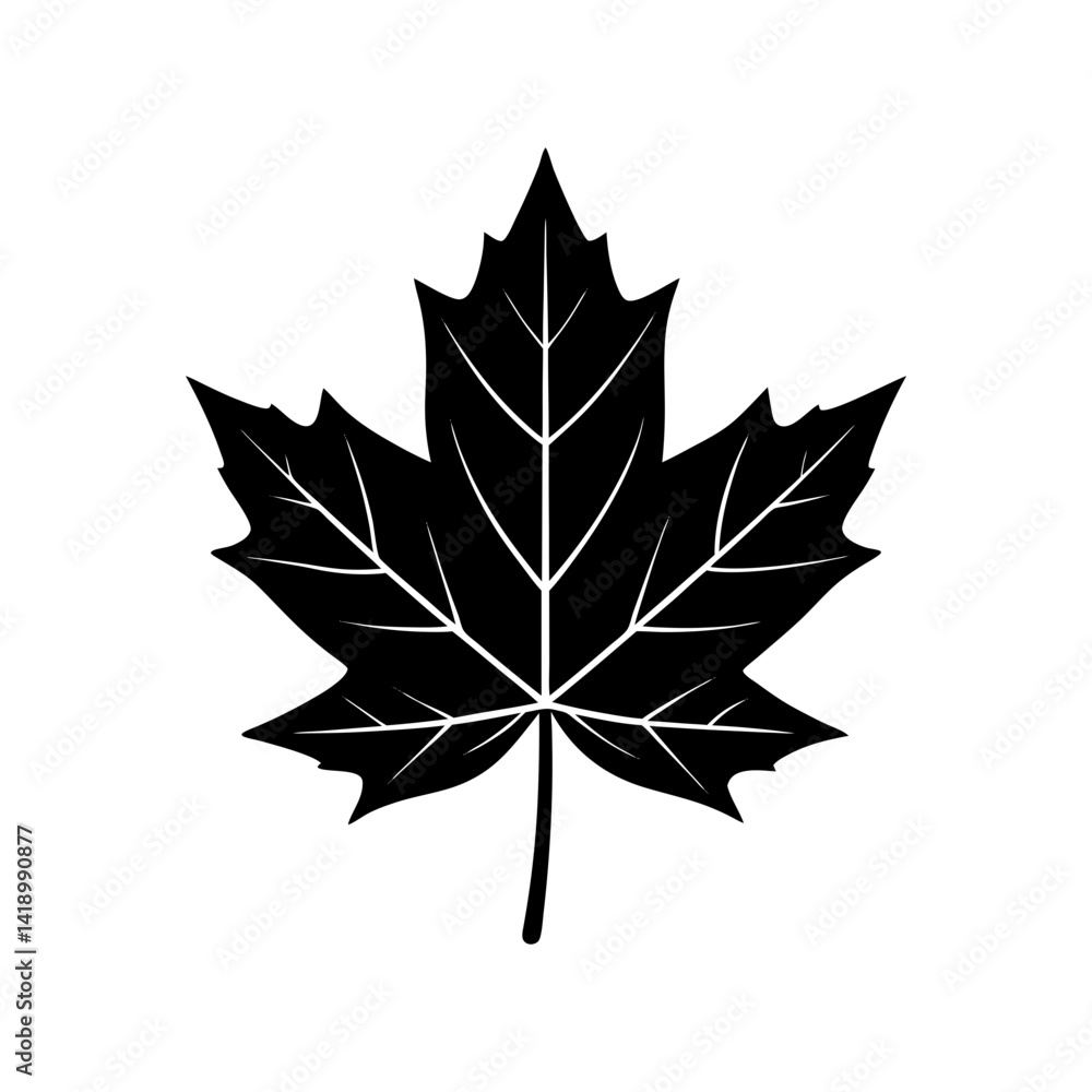 Fototapeta premium Maple Leaf Silhouette vector illustration