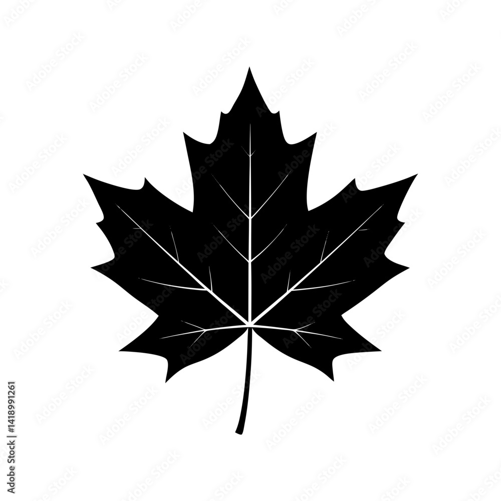 Fototapeta premium Maple Leaf Silhouette vector illustration