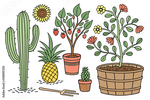 9 Plants, gardening, botanical illustrations, colorful, diverse flora, cacti, succulents, flowers, fruits, vegetables, potted plants, barrel planters, terra cotta pots, cross-section soil view, roots,