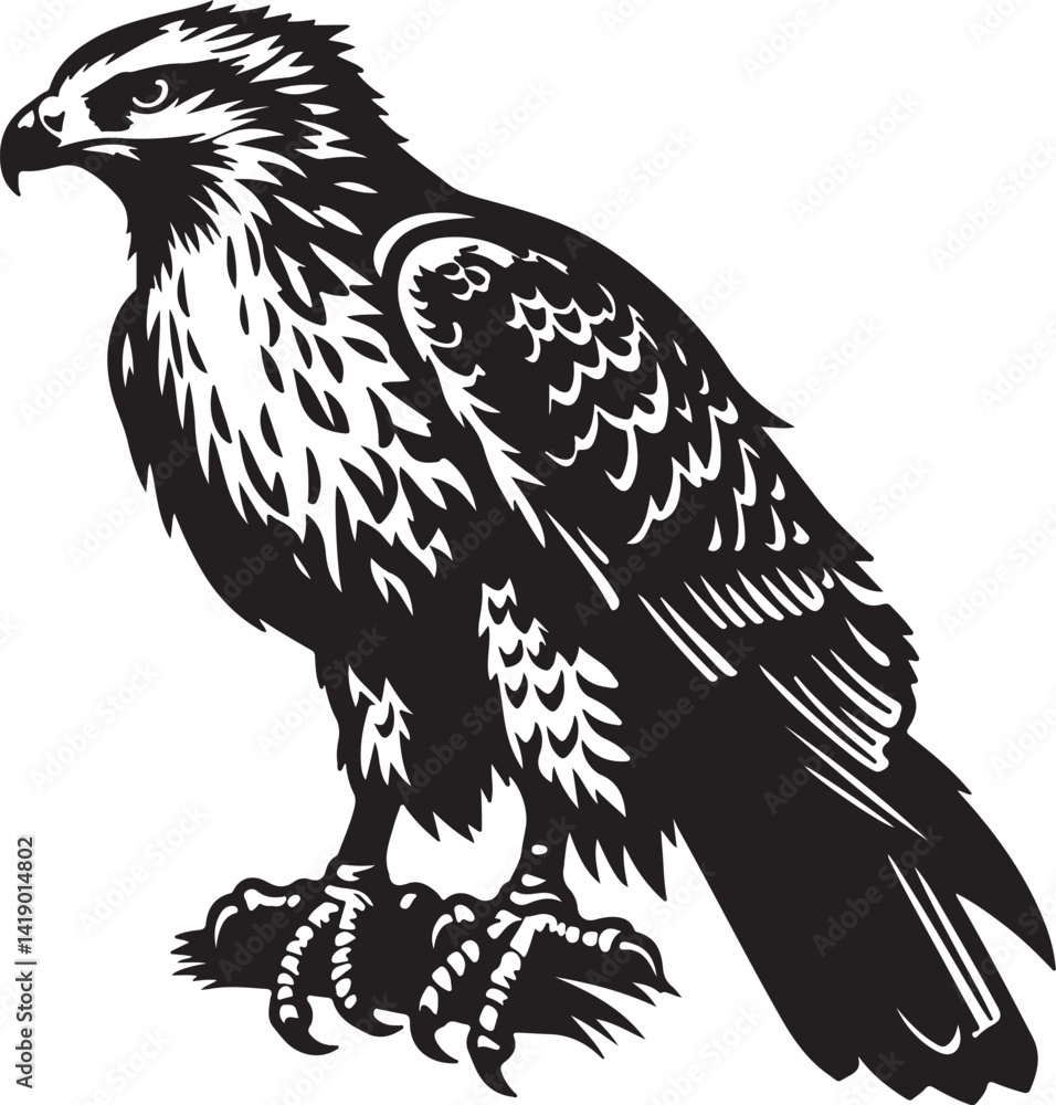 Obraz premium eagle vector silhouette 