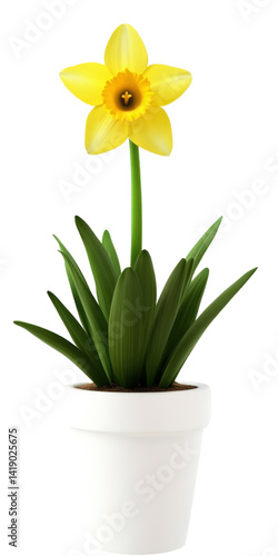 Wallpaper Mural A vibrant yellow daffodil on a transparent background Torontodigital.ca