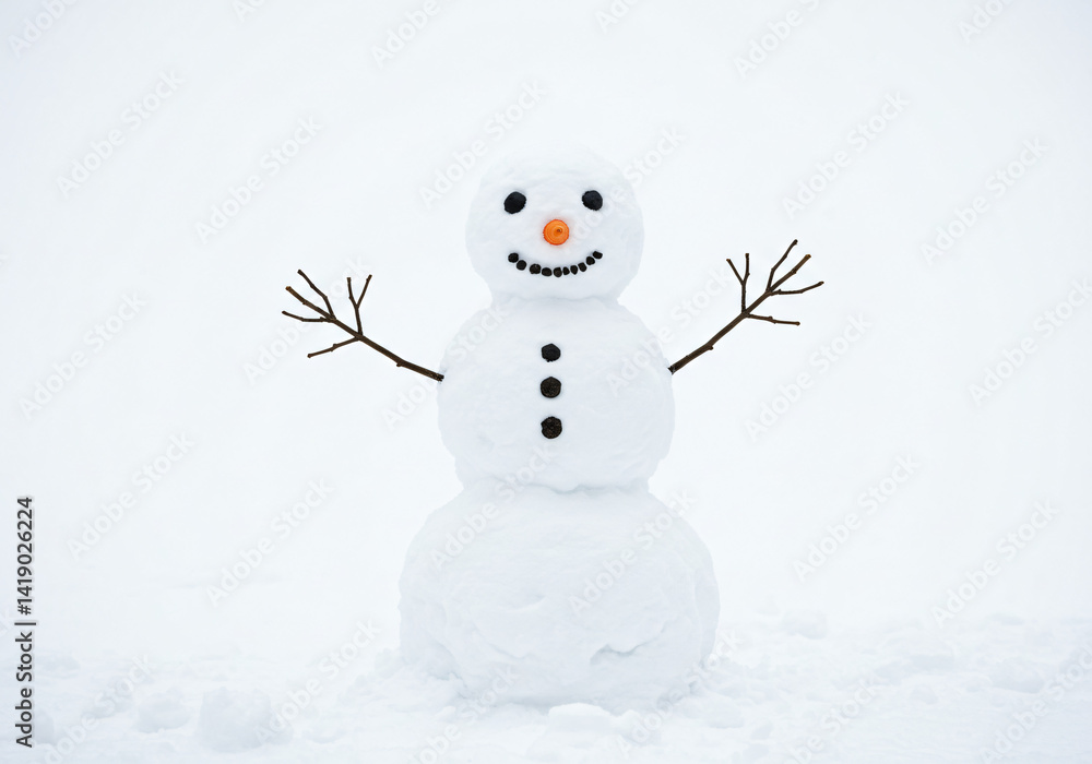 Adorable Snowman in Snowy Landscape: Winter Fun Photo