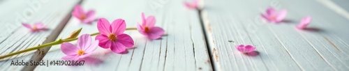 Delicate forget-me-nots scattered on weathered white wood; ample copy space , design, spring, aesthetic