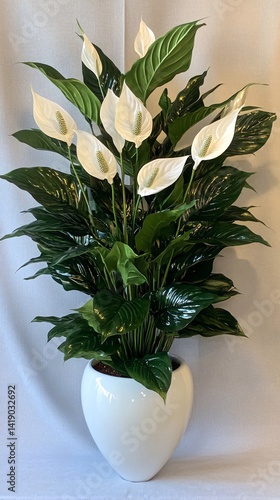 Lush peace lily plant in white heart-shaped pot, indoor setting, home decor