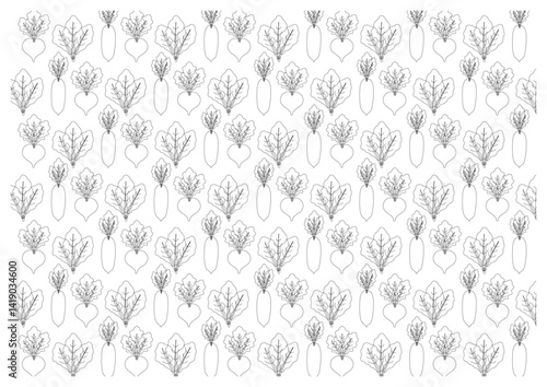 野菜の背景　黒ラインの大根とカブラとほうれん草のイラスト